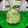 Squash-nut