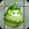 Sumo Melon