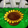 Sun Flower Pot