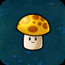 Sun-shroom