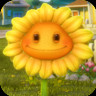 Sunflower (GW1)