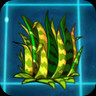 Tiger Grass