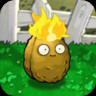 Torch-nut