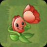 Tulip Trumpeter