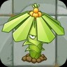 Tupistra Stalker