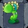 Venus Flytrap
