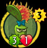 Venus Flytrap