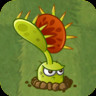 Venus_Flytrap (AS)