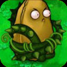 Vine-nut