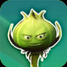 Weed