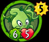 Whipvine
