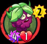 Wild Berry