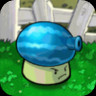 Winter Melon Fume-shroom