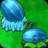 Winter Melon