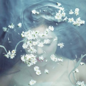 Like A Flower