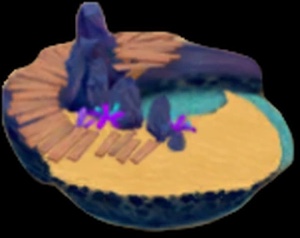 IMG_0974
