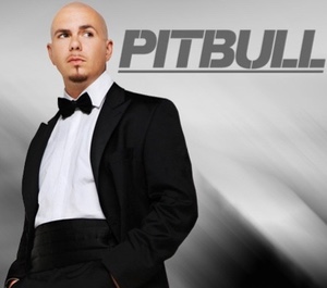 PITBULL