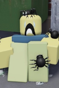 Spiders
