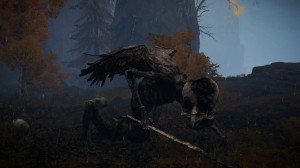 Deathbirds