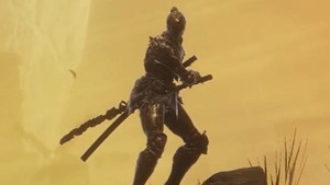 Executor's Cry