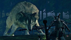Great Grey Wolf Sif
