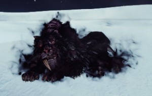 Lud & Zallen, the King's Pets