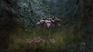 Miranda the Blighted Bloom