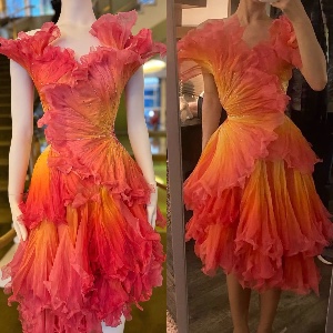 Oz Dust Ballroom Dress