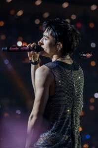 DominAte sparkly top