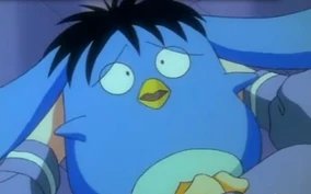Puu