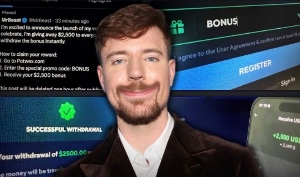 Mr beast hack