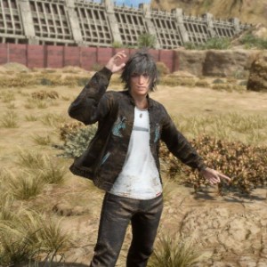 Noctis