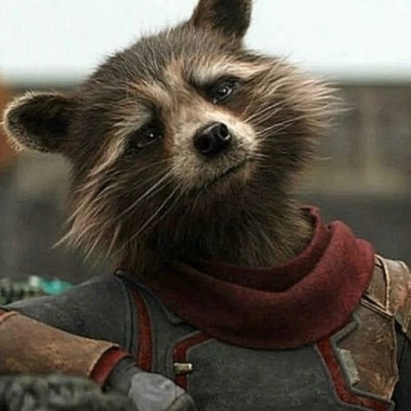 Rocket Raccoon