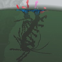 Aquapedes