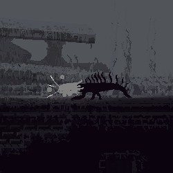 Black Lizards
