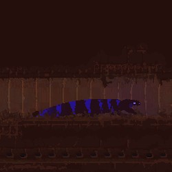 Indigo Lizards