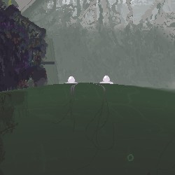 Jellyfish