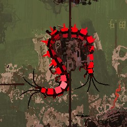 Red Centipedes