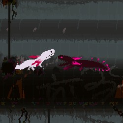 Salamanders