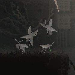 Small Moths