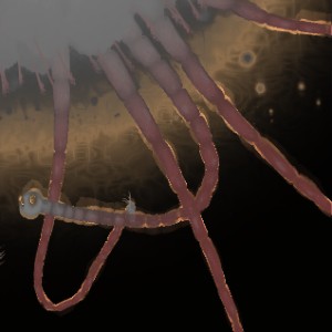 Void Worms