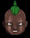 Bucola (Madagascar)