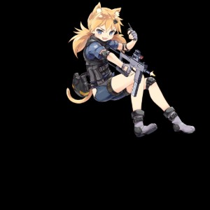 Pic_IDWMod_HD