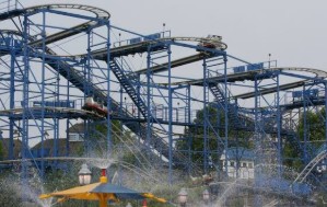 Wild Mouse