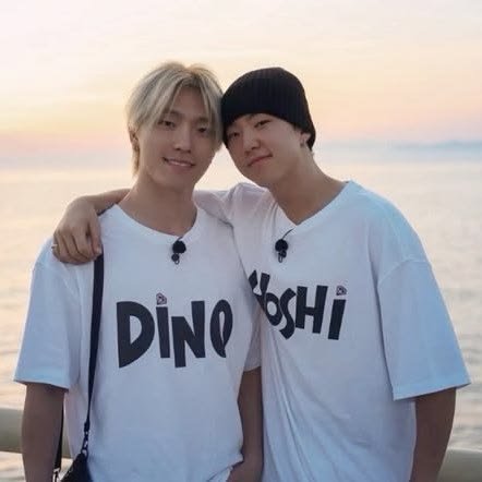 hoshi & chan (soonchan)