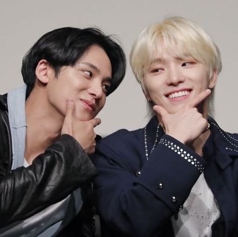 mingyu & chan (gyuchan)