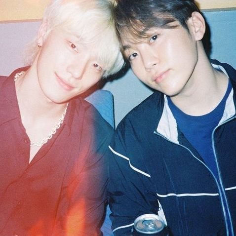 seungkwan & chan (boochan)