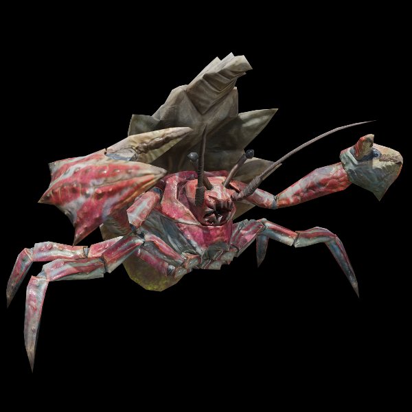 Hermitaur
