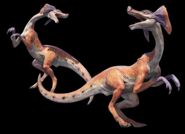 Jaggi