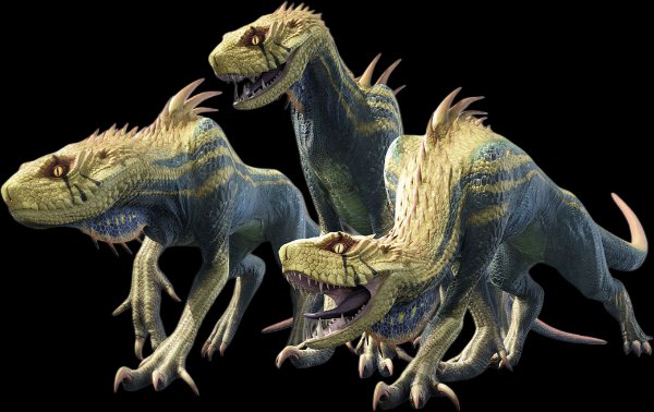 Jagras